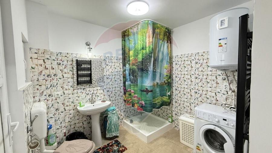 Casa / Vila cu 3 camere de inchiriat in zona Giurgiului - 22