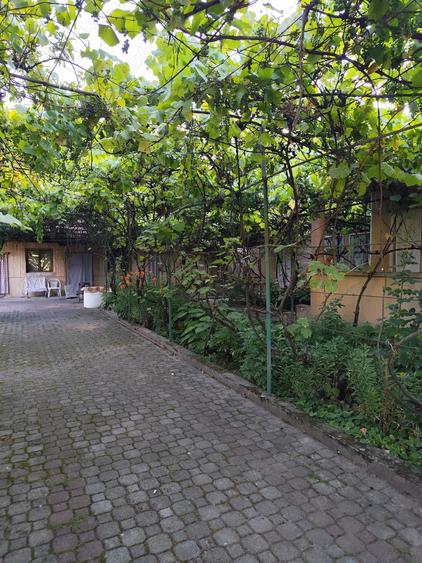 Casa de Vanzare, Sintea Mare, 6 km de orasul Chisineu Cris - 4