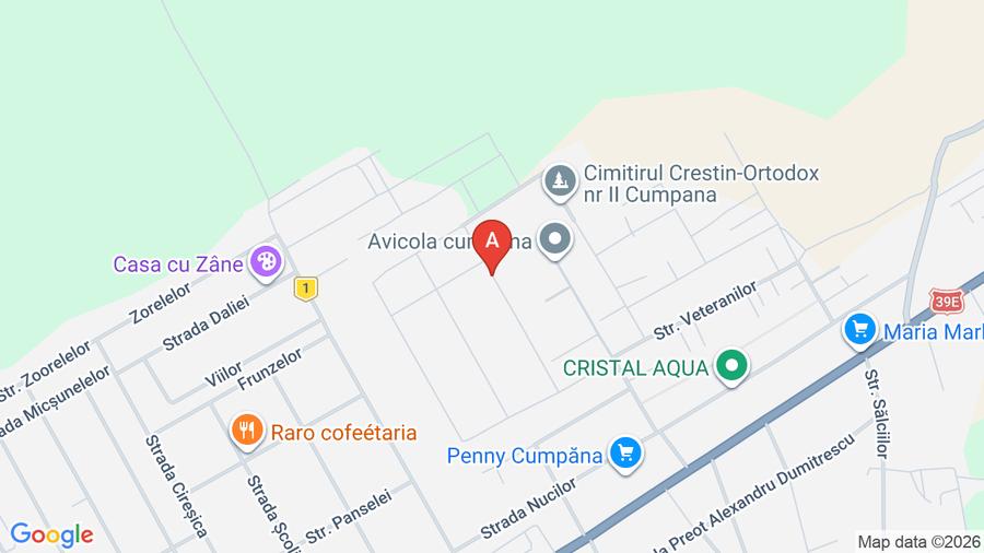 Casă nouă cu 5 camere, curte și centrală pe gaz - 1