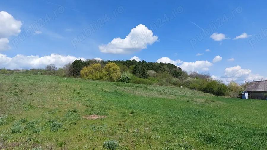 Teren „Fânațele Clujului - Copârșaie” - 5