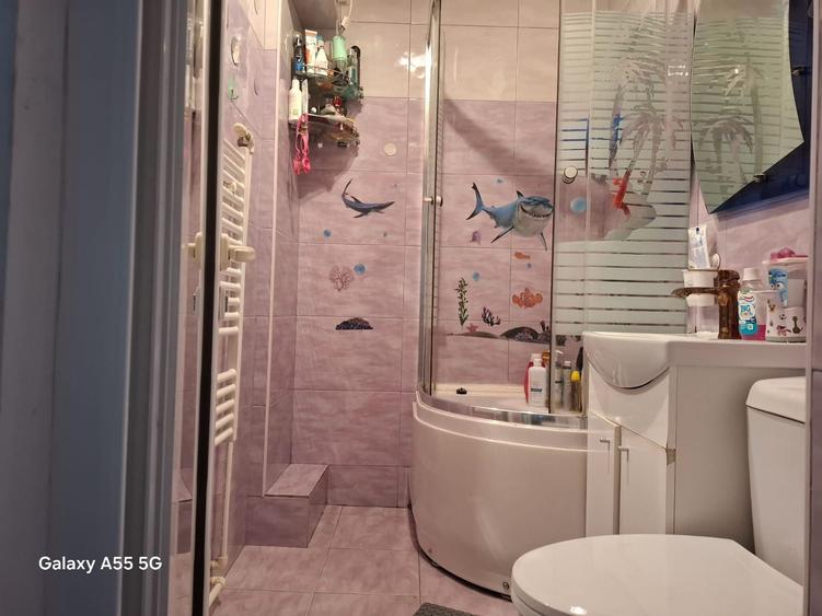 Apartament cu 2 camere semidecomandat în Viziru 1