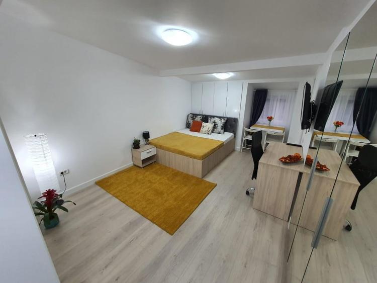 Garsoniera in Vila Parcul Carol | Mansarda | Pet Friendly - 1