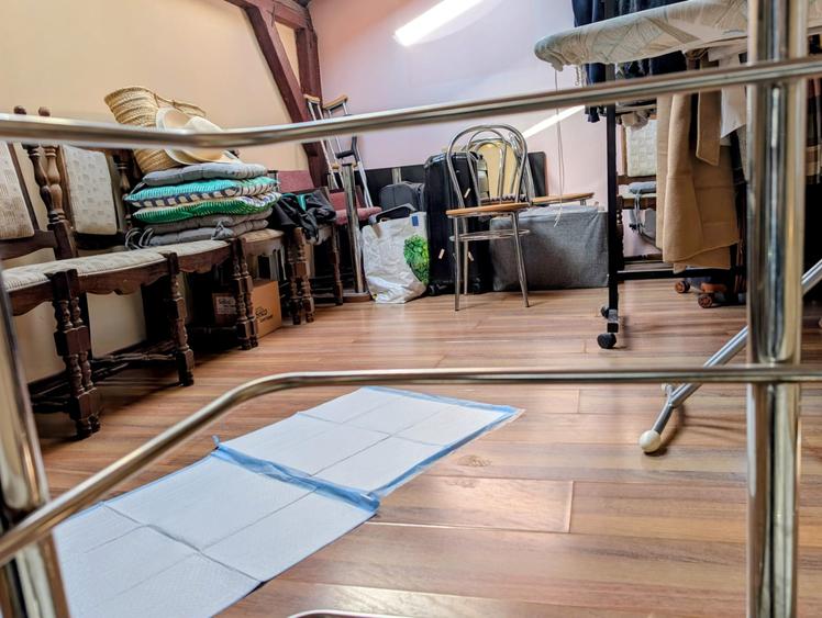 P+E+M,cartier rezidential elegant,liniste,paza,bariera,nepoluat,vecini deosebiti - 12