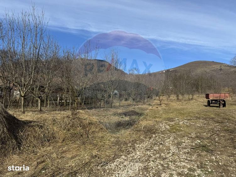 Teren intravilan 1.271 mp Izvoarele, jud. Alba - 2