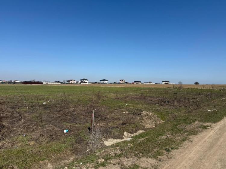 Teren Intravilan Primaverii - Berceni | utilitati in zona | #EG26R - 7