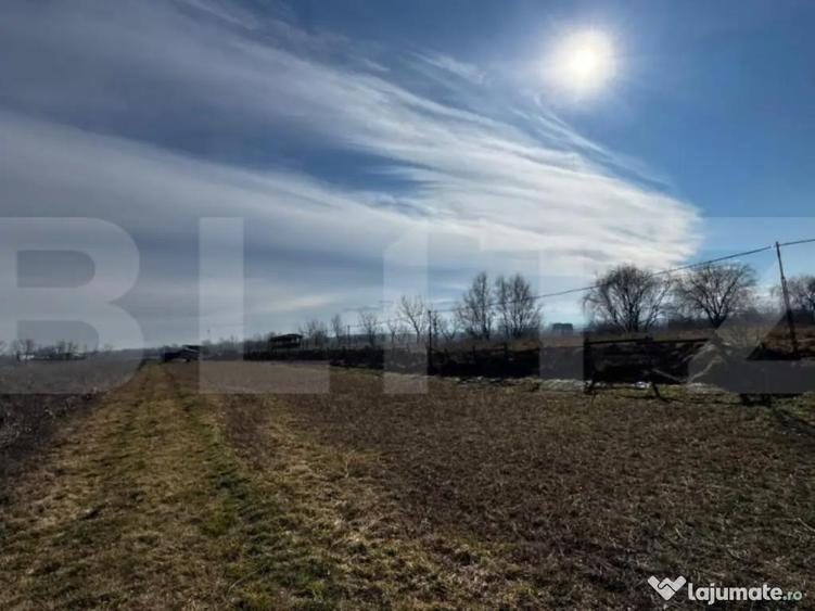 Teren extravilan 3100 mp cu ie?ire la raul Mure? - 4