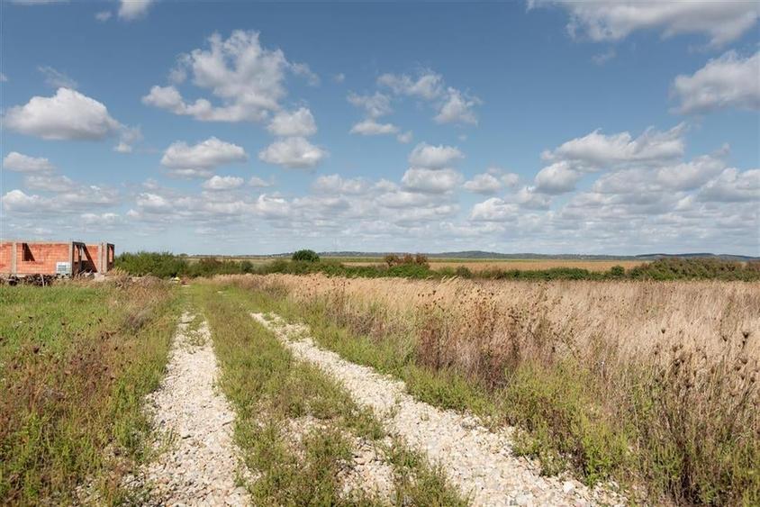 Teren intravilan in Rontau - 7