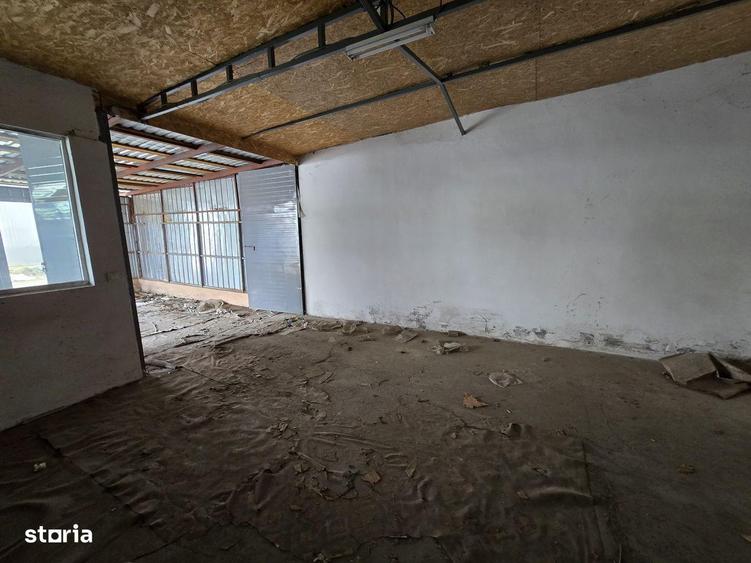 Spatiu comercial in Cibela - 3