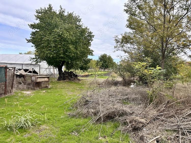 Teren comuna Cuza Voda, Calara?i - 3