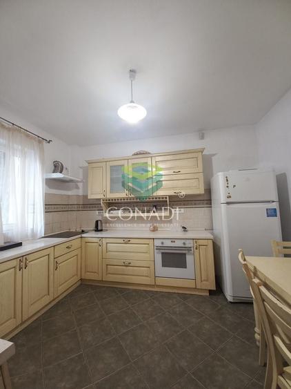 Casa cu 5 camere Nordului-Herastrau - 12