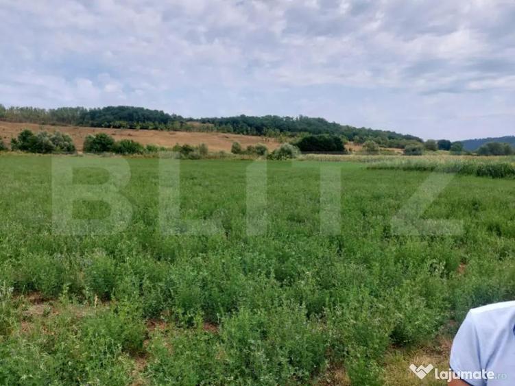 De vanzare teren Fundatura 27500mp - intravilan - 6