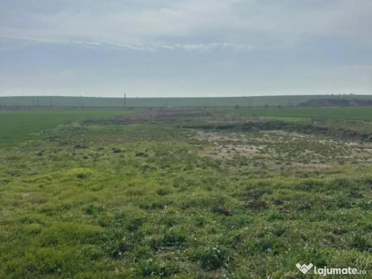 Teren extravilan 10.000 mp, DN-reprezentanta VOLVO -dezmembr - 7