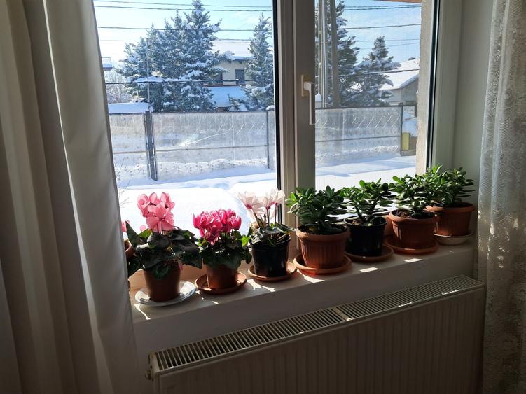 Vanzare casa individuala Otopeni, P+1+Pod, amprenta 130 mp, teren 780 mp - 29