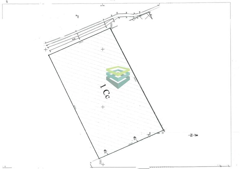 Teren  - pretabil pentru industrial - Centura -  Clinceni - 7