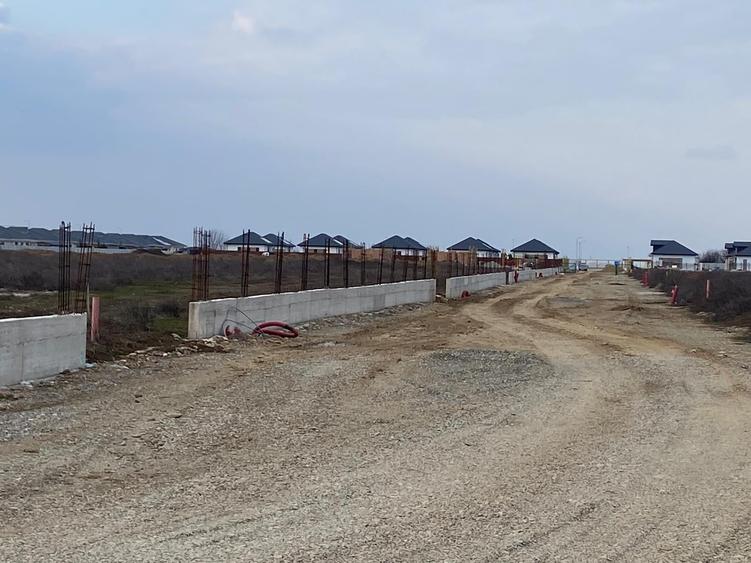 Teren Intravilan, 10016 mp, Tunari, Ilfov / Zona cu dezvoltare rapida - 2