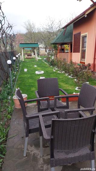 Proprietar vand vila la munte - 2