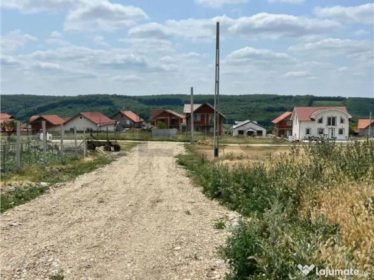 RECO teren de in zona Betfia - 2