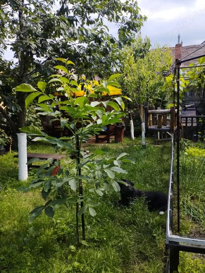 Vand apartament la casa Sibiu jud Sibiu.. - 2