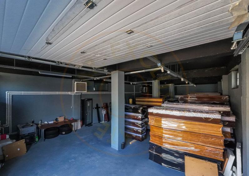 Hala / Spatiu Productie / Rezidential - Vedere catre lac - 12