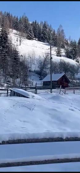 DIRECT PROPRIETAR Atractiv pentru pensiune/casa de vacanta): Teren de Poveste la Munte 6.000 mp Intravilan + 6.000 mp Extravilan,Dorna Arini-Ortoaia - 3