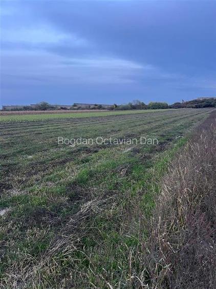 Teren frumos Cihei 500 mp