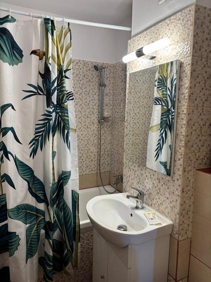 Vitan Bobocica proprietar, cochet, curat, costuri foarte mici, liniste - 8