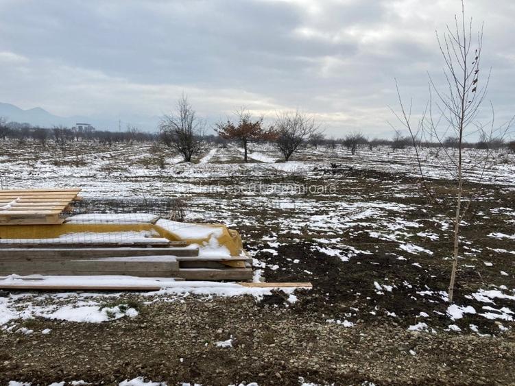 Teren Construcții intravilan de 6000 mp, în Ghimbav
