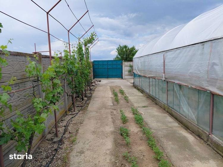 Vand 600 mp , teren extravilan in Craiova - 3