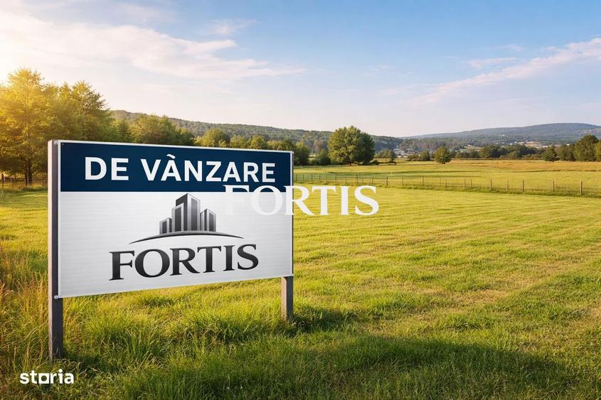 Teren 2.800 mp cu acces la rau si utilitati la drum de vanzare in Becl - 1