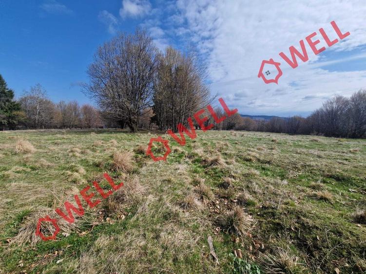 De vânzare teren extravilan în localitatea Brădet! - 7