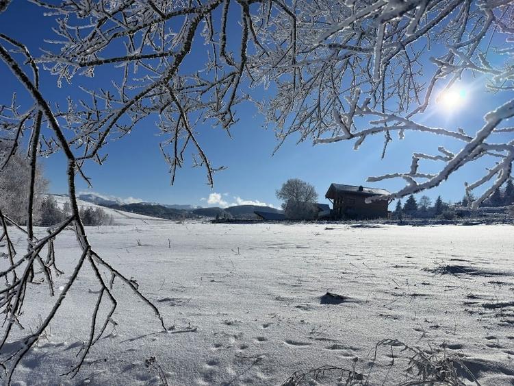 Teren satul Sirnea, intravilan, deschidere 120 m la drum asfaltat, - 7