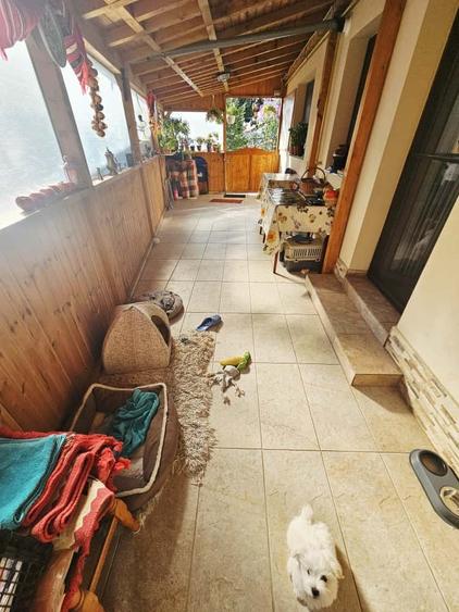 Vilă modernă cu 5 camere – Mănești - 21