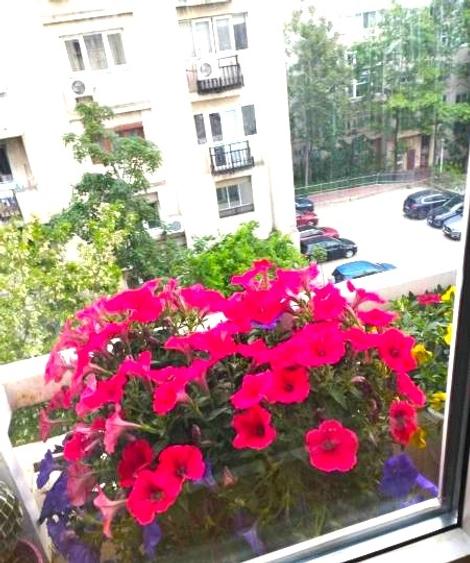 APARTAMENT 4/7 BL 1992 MONOLIT 5 MINUTE METROU LUMINOS SCOALA 81 MIRCEA VODA - 8