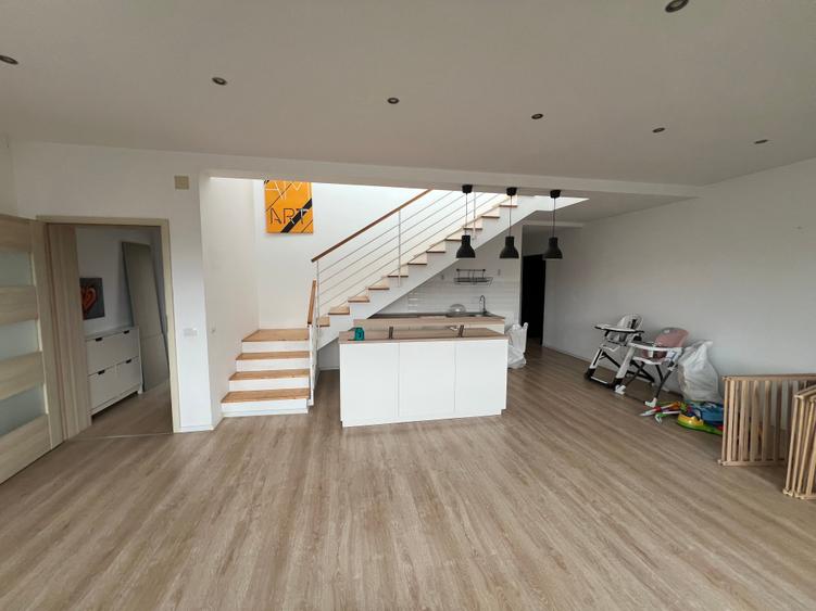 Dimitrie Leonida Metrou - 3