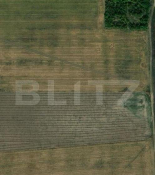 Teren extravilan, zona Carcea, cu o suprafata de 12218 mp - 2