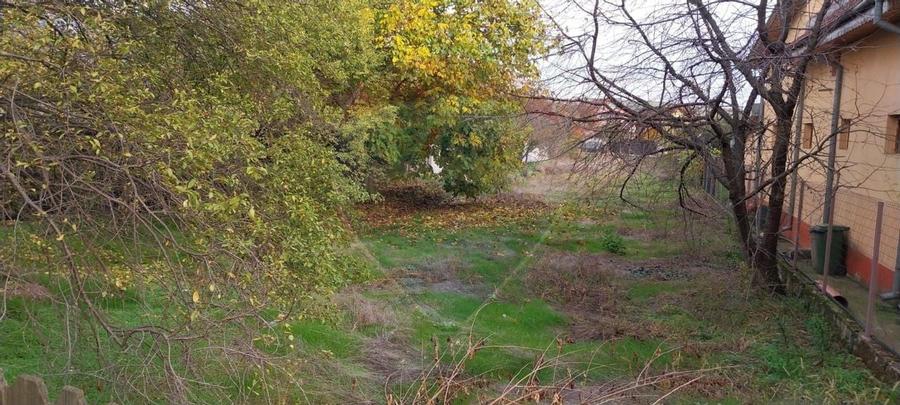 Teren/Loc de casa parcelabil, intre case, 800mp Simnicu de Sus - 4