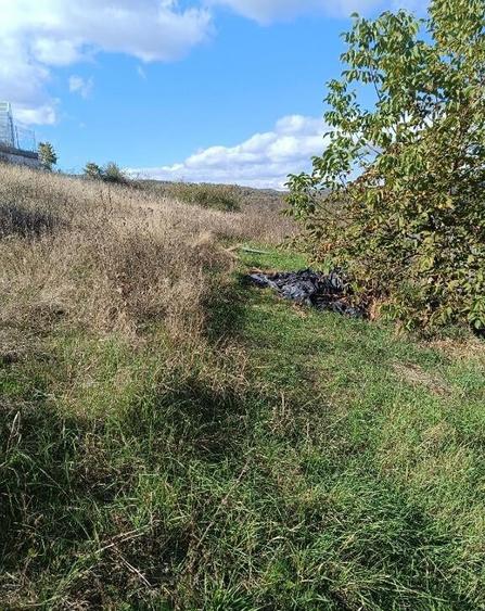 Teren 1000 mp intravilan, Zona Tarpiului - 2