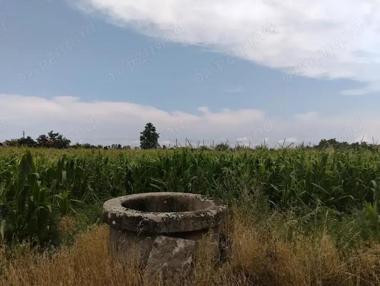 Casa de vanzare in Domanesti - 2