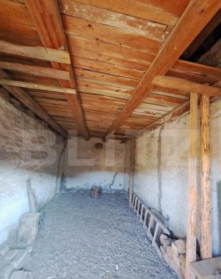 Casa individuala de vanzare in satul Zizin, jude?ul Bra - 8