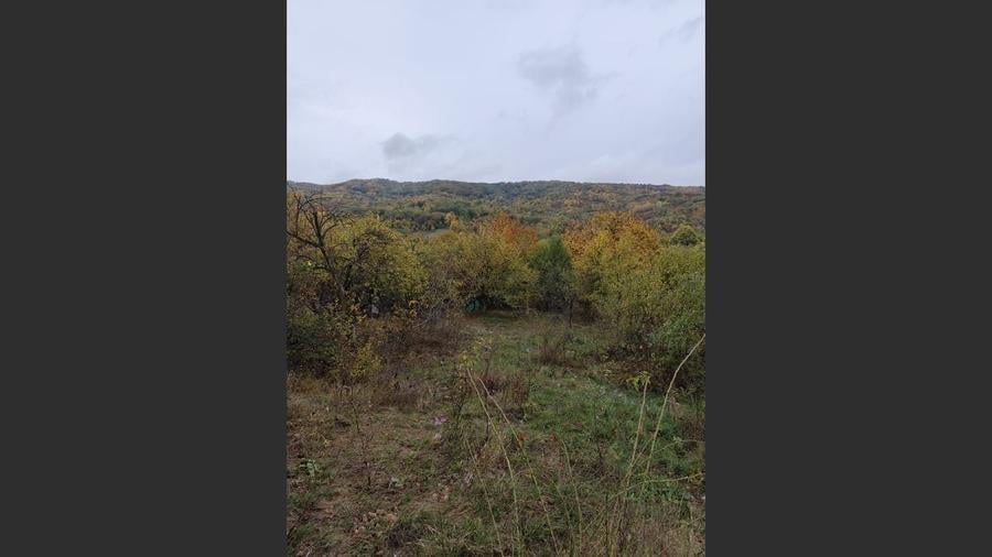 Vanzare sau Schimb! Central Drajna de Jos 5000 mp - 8