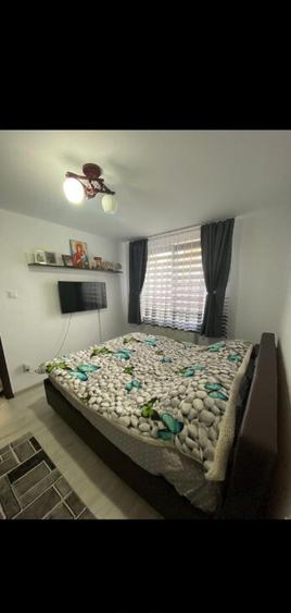 Apartament dragu? cu 2 camere decomandate in Mana?tur - 2