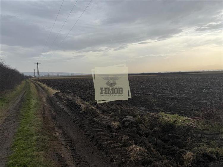 Teren agricol extravilan de 20300 mp, în Șura Mică