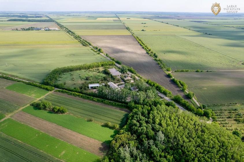 Cladire industriala de vanzare cu potential 3,5 ha in Batania - 35