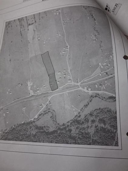 Casa lemn masiv acoperita recent + 5 anexe + teren peste 15000 mp la 46000 Euro negociabil - 2