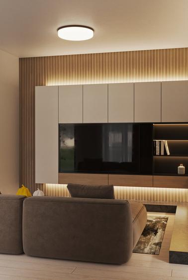 Penthouse 3 camere situat la etajele 5 si 6  in ansamblul The Icon - 2