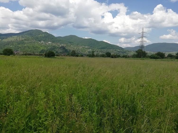 Teren Construcții intravilan de 1200 mp, în Exterior Vest