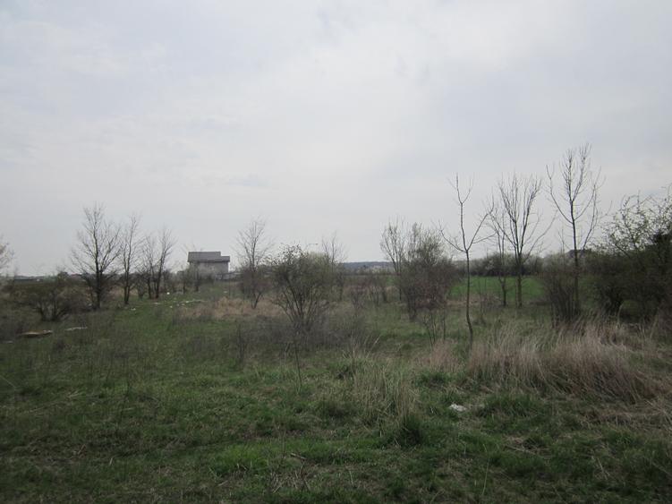 Teren Construcții intravilan de 646 mp, în Domnești