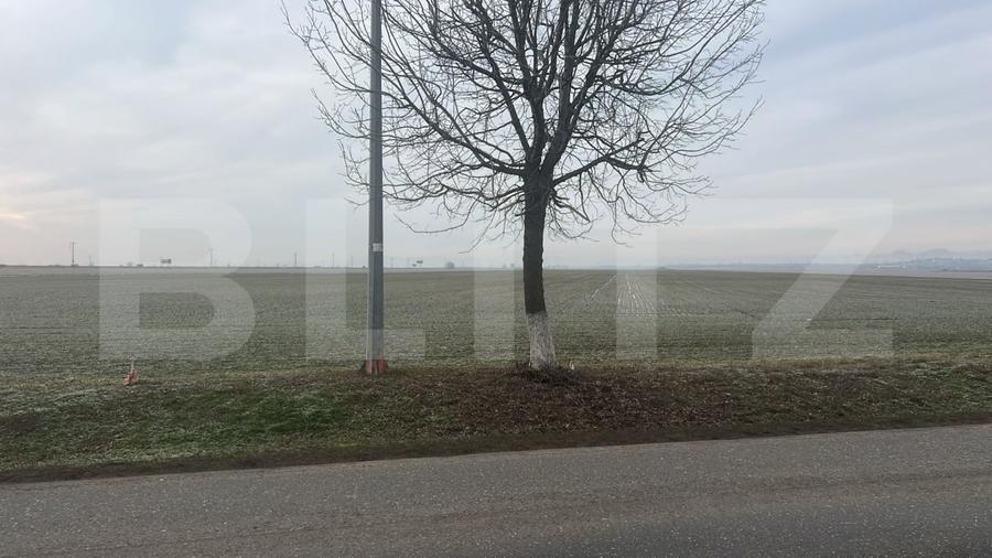 Teren agricol de 5000 mp, în Băicoi
