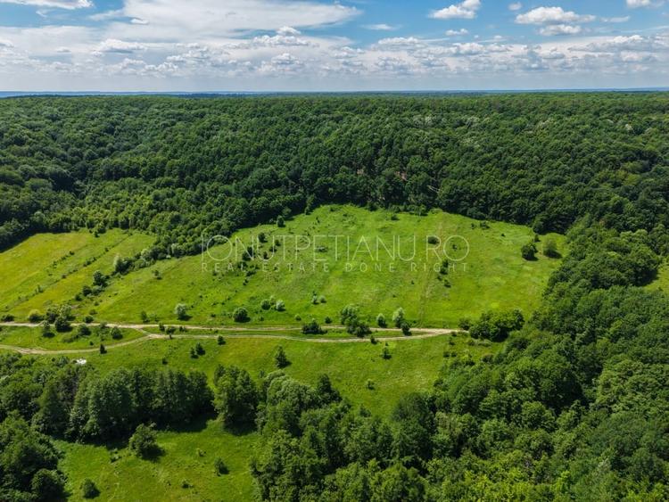 Teren agricol extravilan de 5500 mp, în Valea Mare-Podgoria