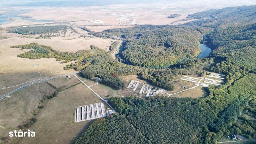 Teren de 186000 mp, în Dumbrăvița